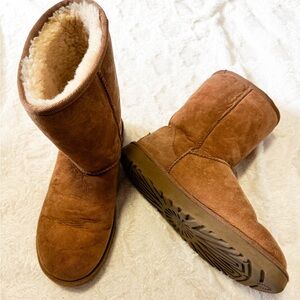 ugg short chestnut boots